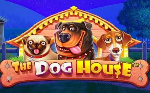 dog house slot kuralı