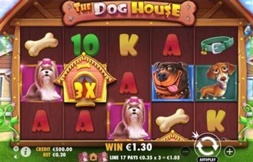 dog house slot nedir